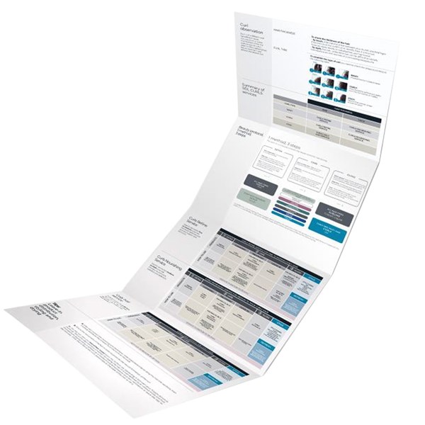 Alfaparf Milano Semi Di Lino Curls Wall Chart